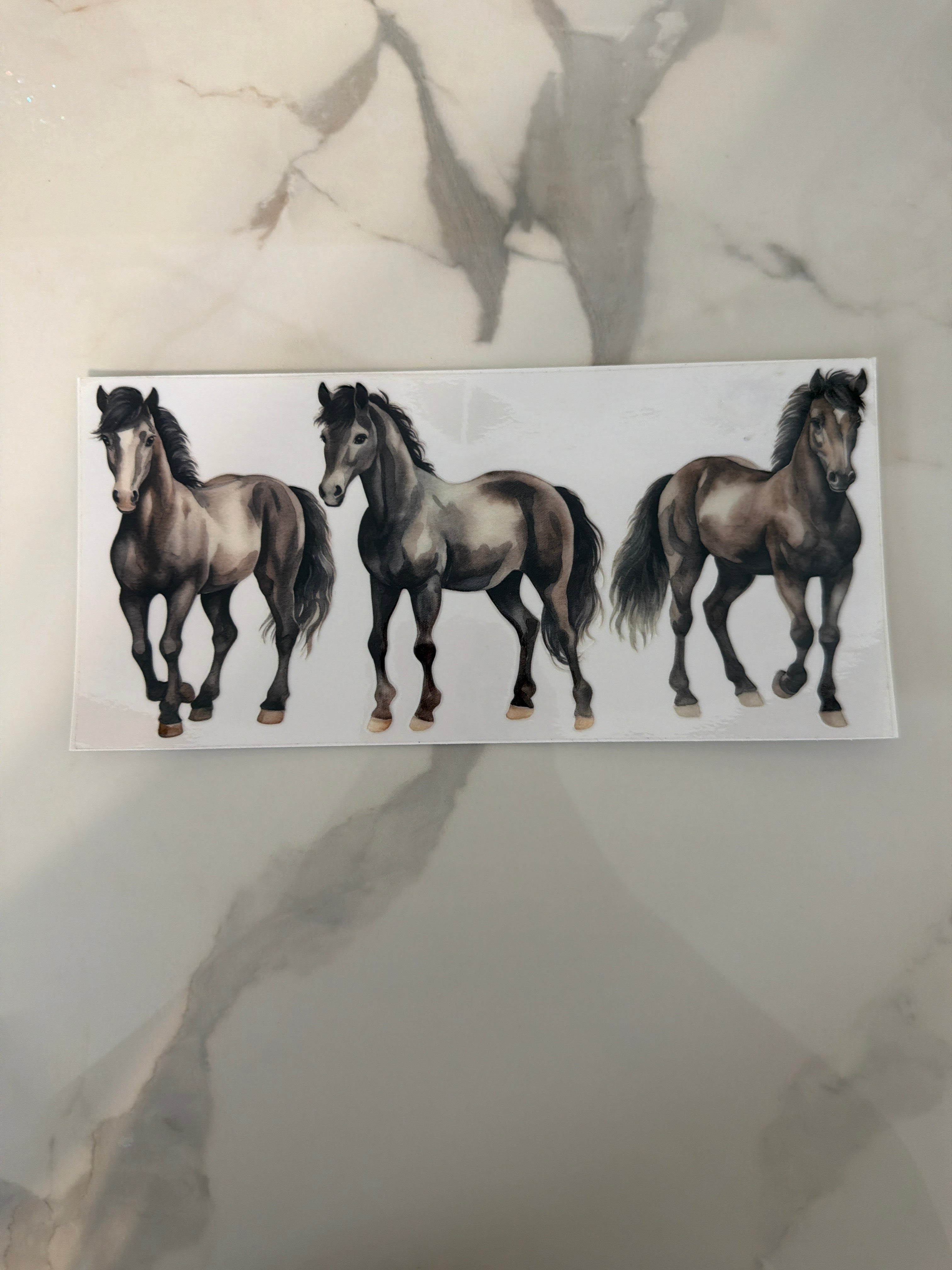 #252