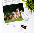 Mouse Pad